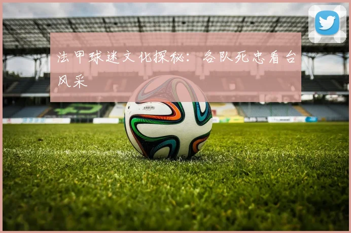 法甲球迷文化探秘：各队死忠看台风采